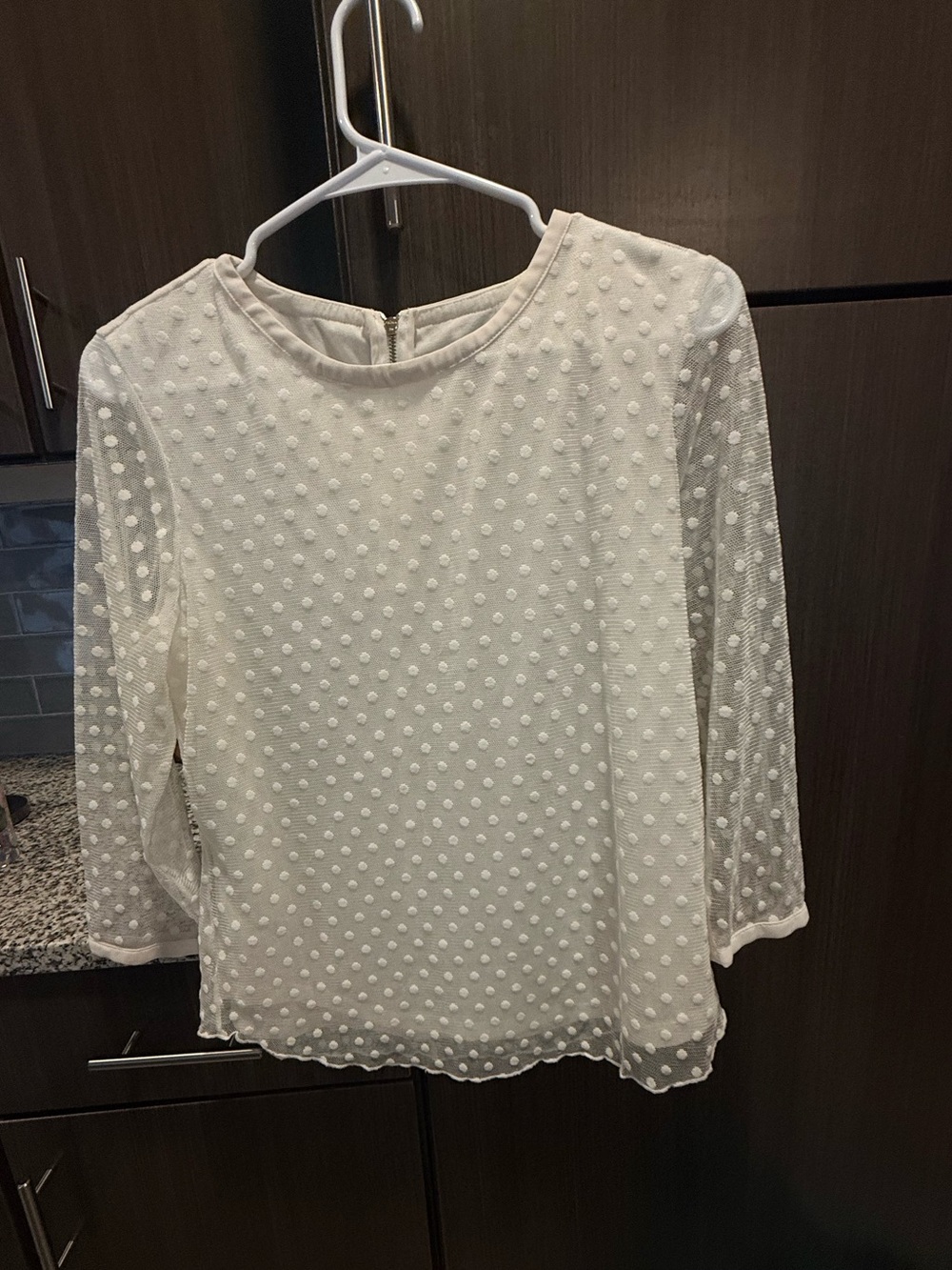 Taylor White Swiss Dot Round Neck Blouse